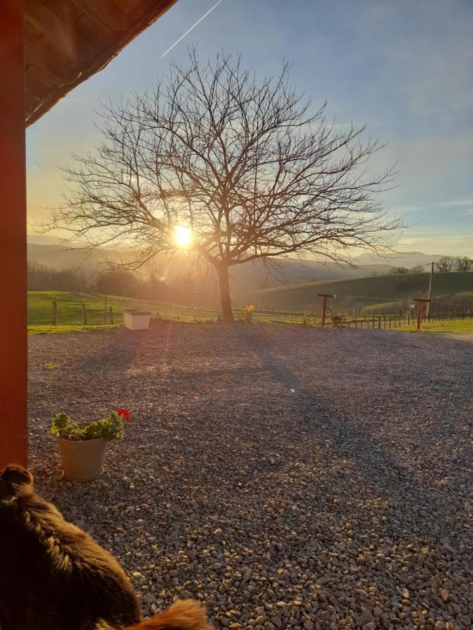 Gite A La Ferme Larranda Suhescun Eksteriør bilde